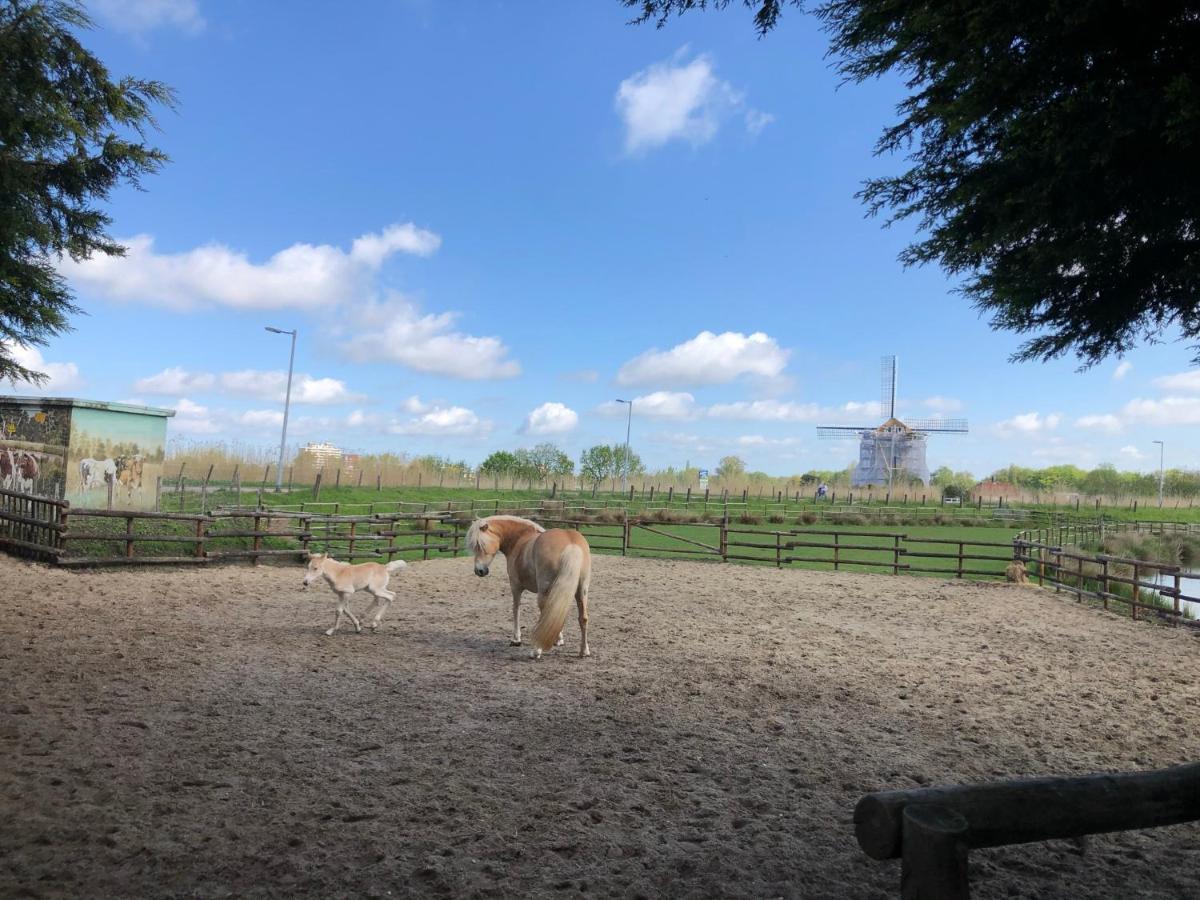 Chalet Aan De Rotte Rotterdam Exterior foto
